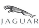 Jaguar remap