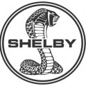 Shelby remap